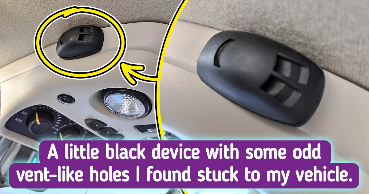 12 Mysterious Objects That Had been With out problems Cracked by Web Detectives