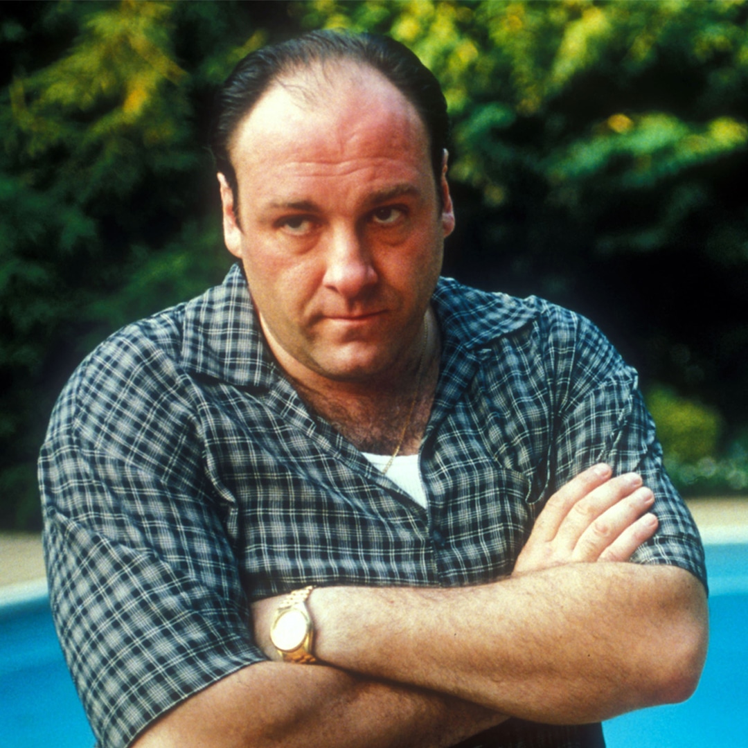 20 Neutral Secrets About The Sopranos Revealed
