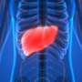 Pointers developed for administration of alcohol-associated liver disease