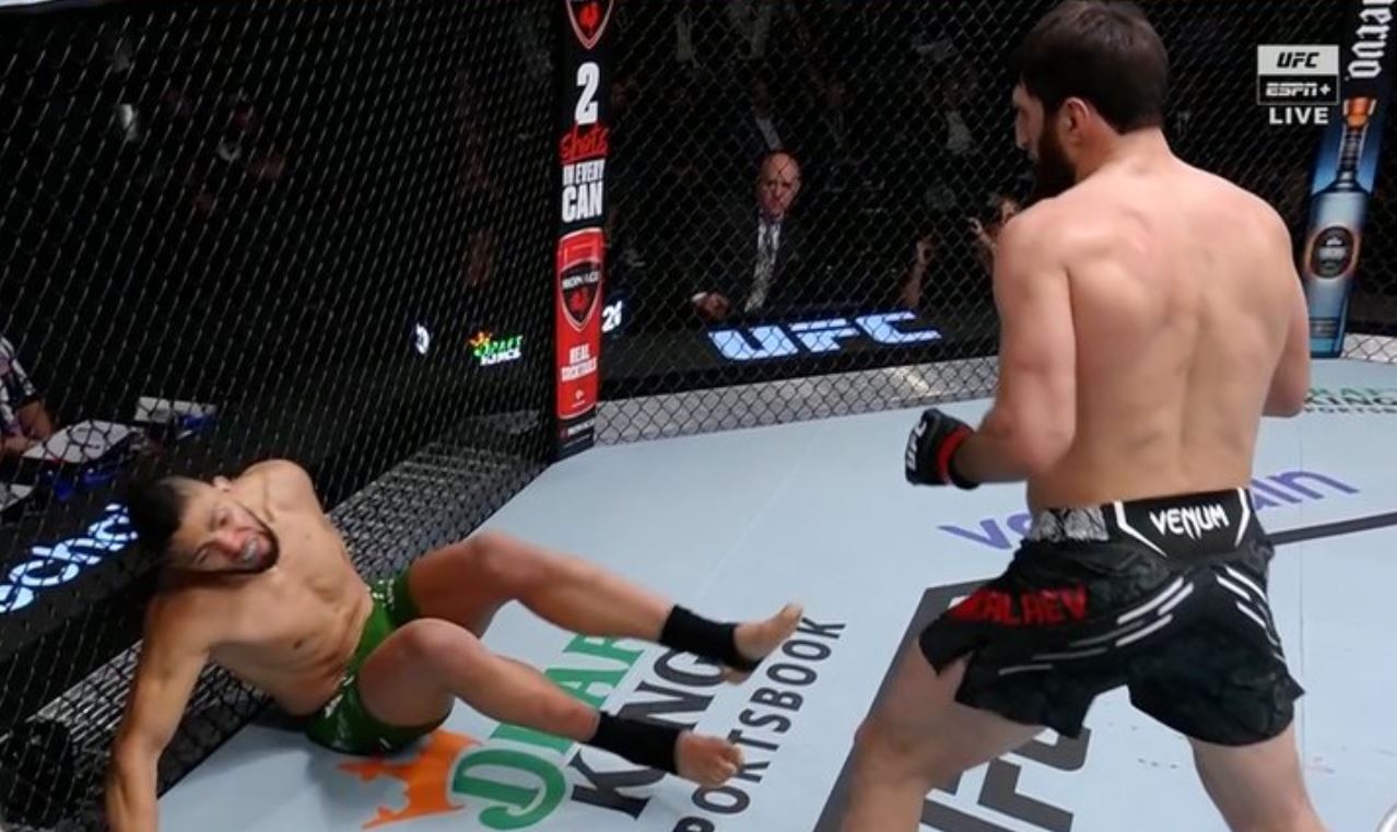 UFC Vegas 84 Outcomes: Magomed Ankalaev stops Johnny Walker (Video)
