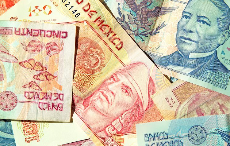 Mexican Peso on the defensive amid steady US Greenback