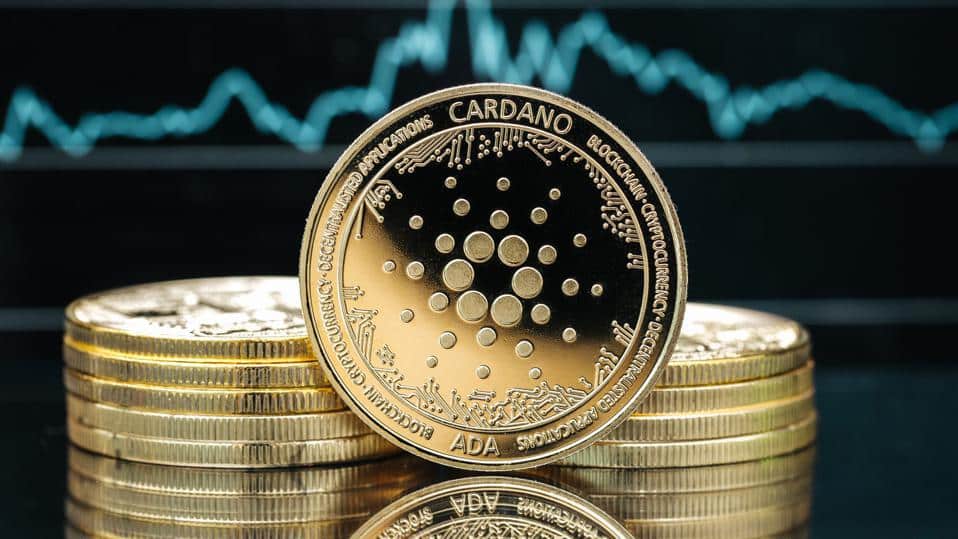 Cardano Founder Hoskinson Expresses Perception in ETHGate