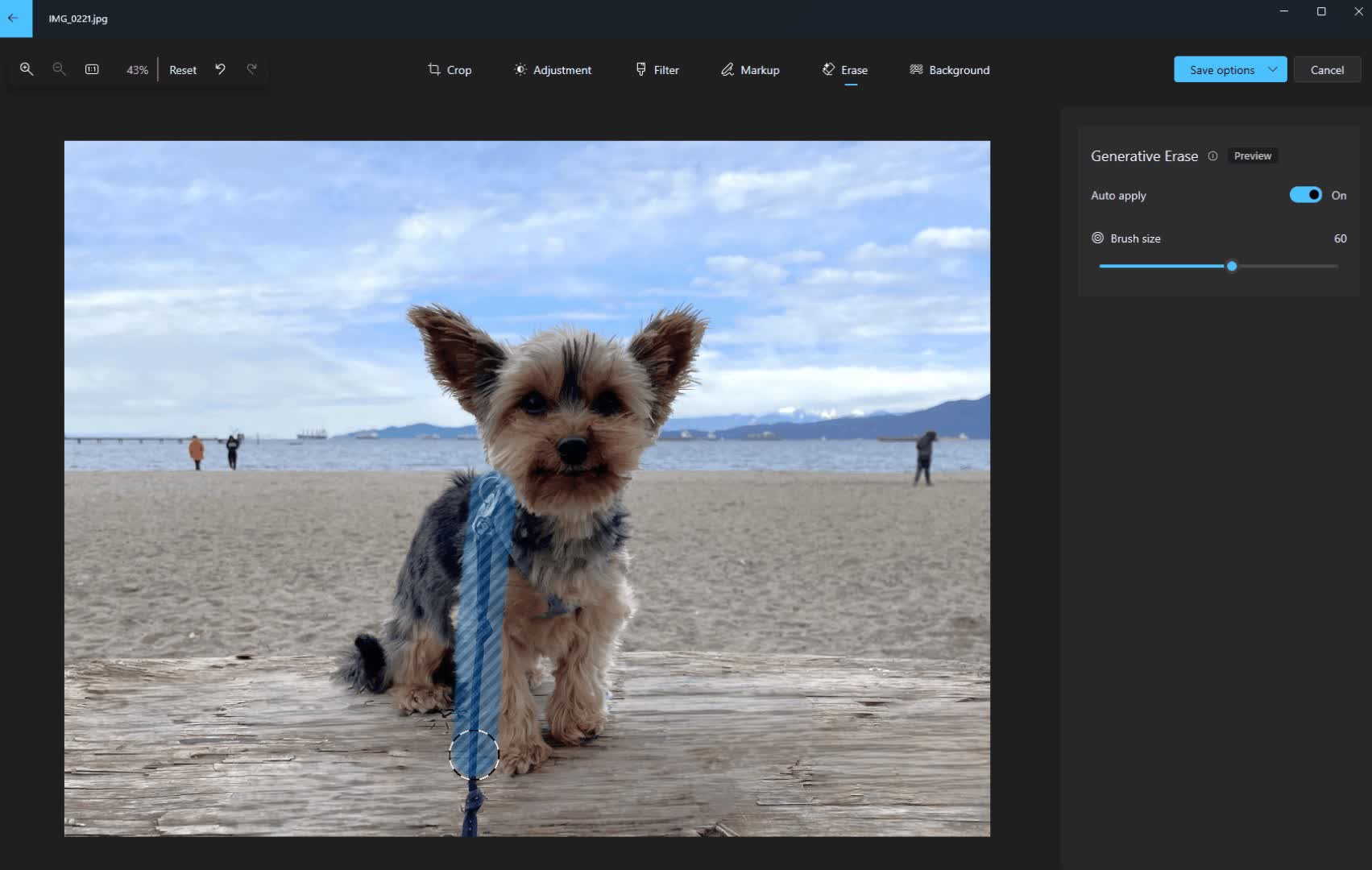 The Home windows Photos app will get fresh AI object elimination characteristic
