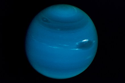 Three shrimp original moons seen orbiting Uranus and Neptune