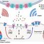 Recent brain stimulation technique exhibits promise for treating brain complications