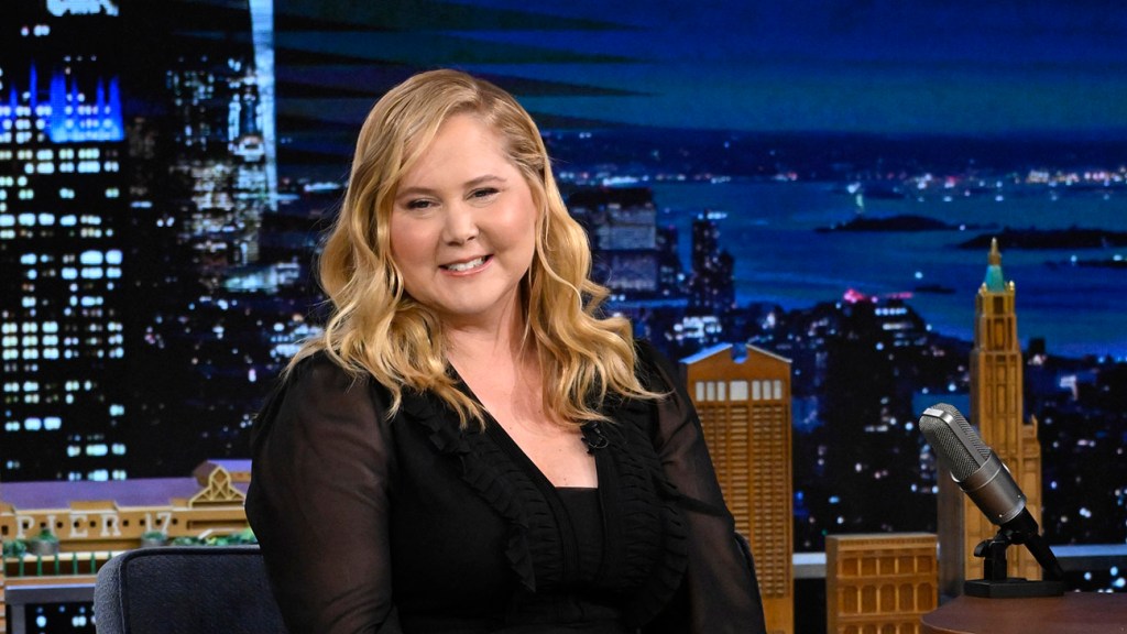 Amy Schumer Identified With Cushing Syndrome Following Fan Discourse on Puffier Face