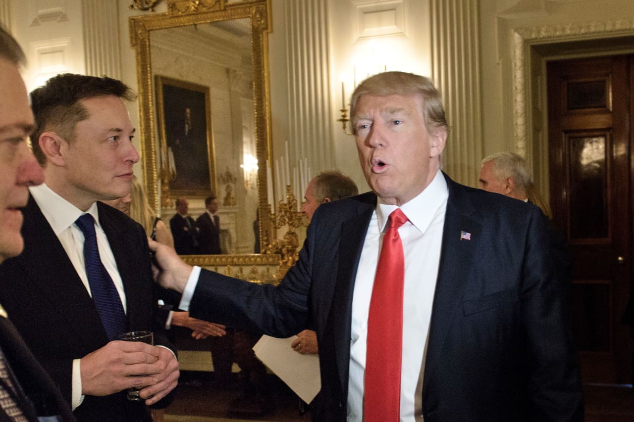 Donald Trump met with Elon Musk searching for advertising and marketing campaign donation: experiences