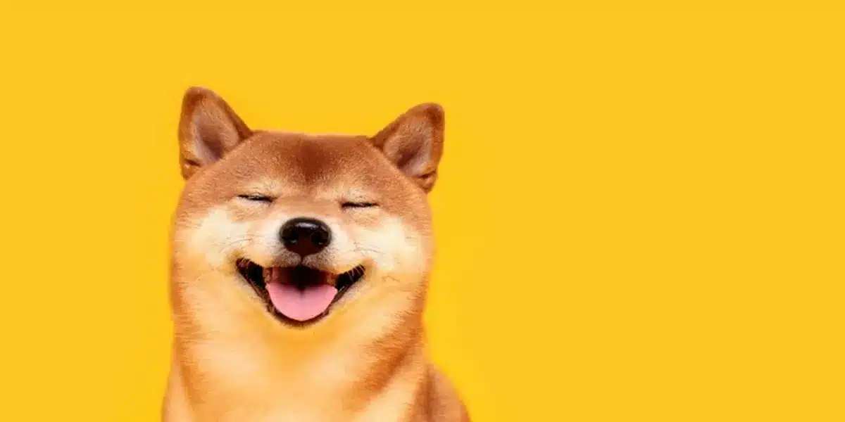 Forbes Cites Shiba Inu Amongst The Top 10 Digital Sources For Investment