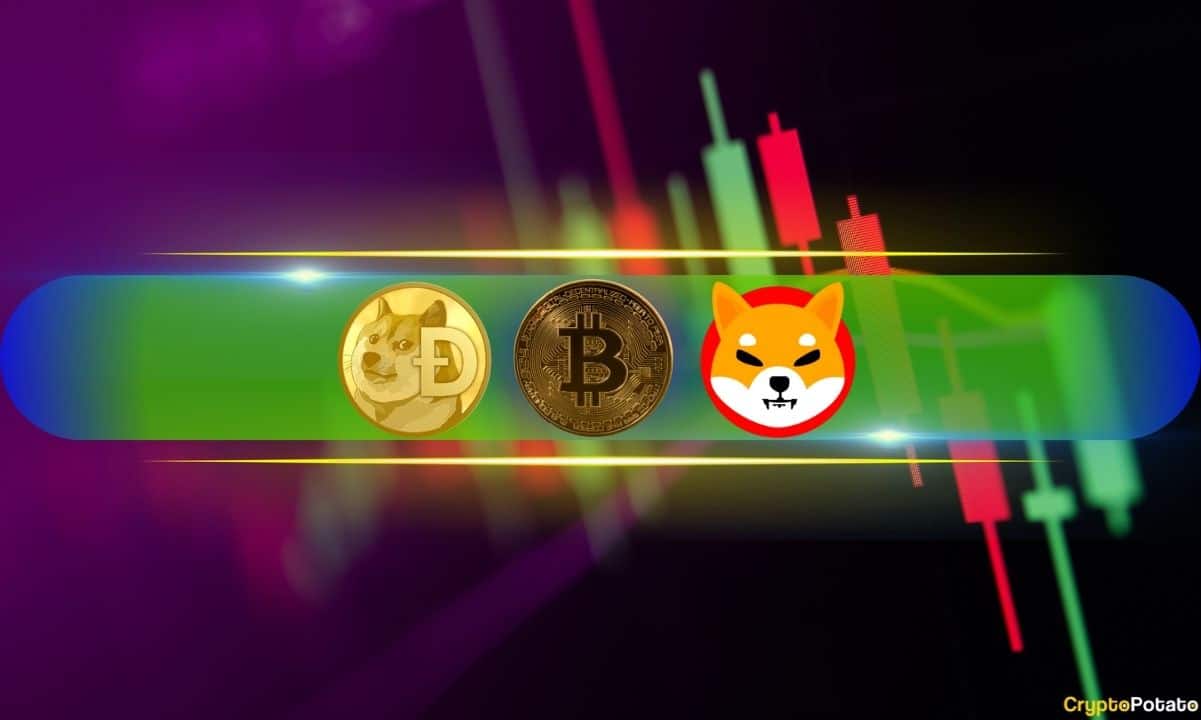 Bitcoin Slumps to 10-Day Lows, DOGE and SHIB Amongst the Double-Digit Losers (Weekend Salvage about)