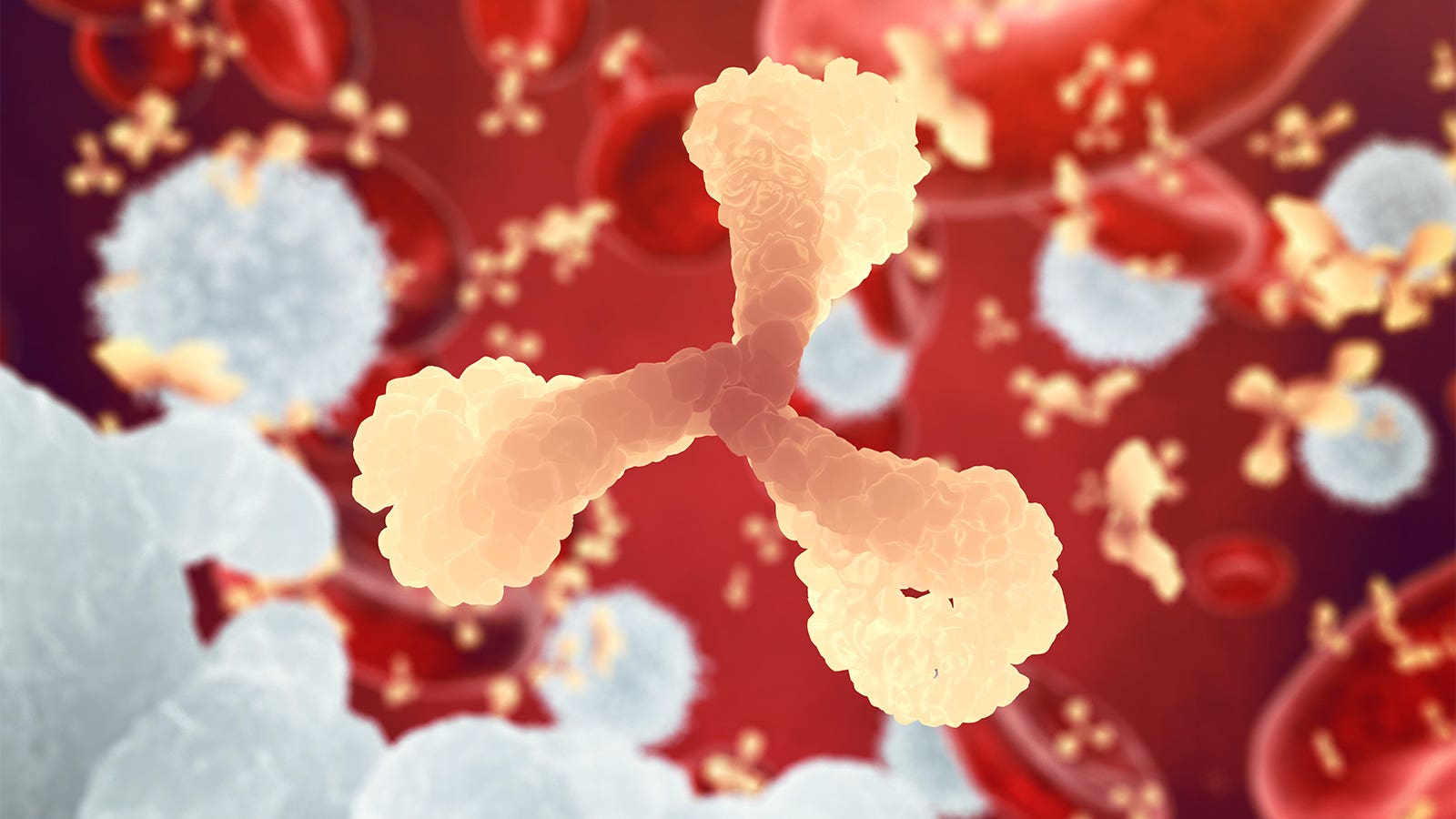 Can an Autoimmunity Lead to Immune Deficiency?