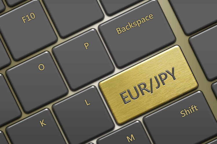 EUR/JPY trades with a gentle-weight bullish bias above 164.00 amid intervention fears