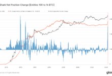 Bitcoin accumulation hits decade excessive amongst ‘Shark’ cohort