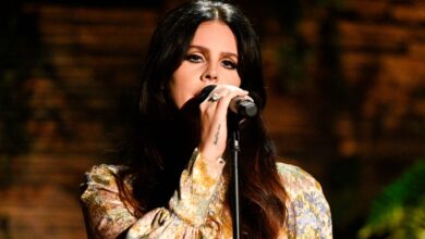 What’s 15 Years Working for Lana Del Rey Price?