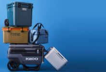 7 Most efficient Coolers Price Buying for in 2024, In step with Our Equipment Editors
