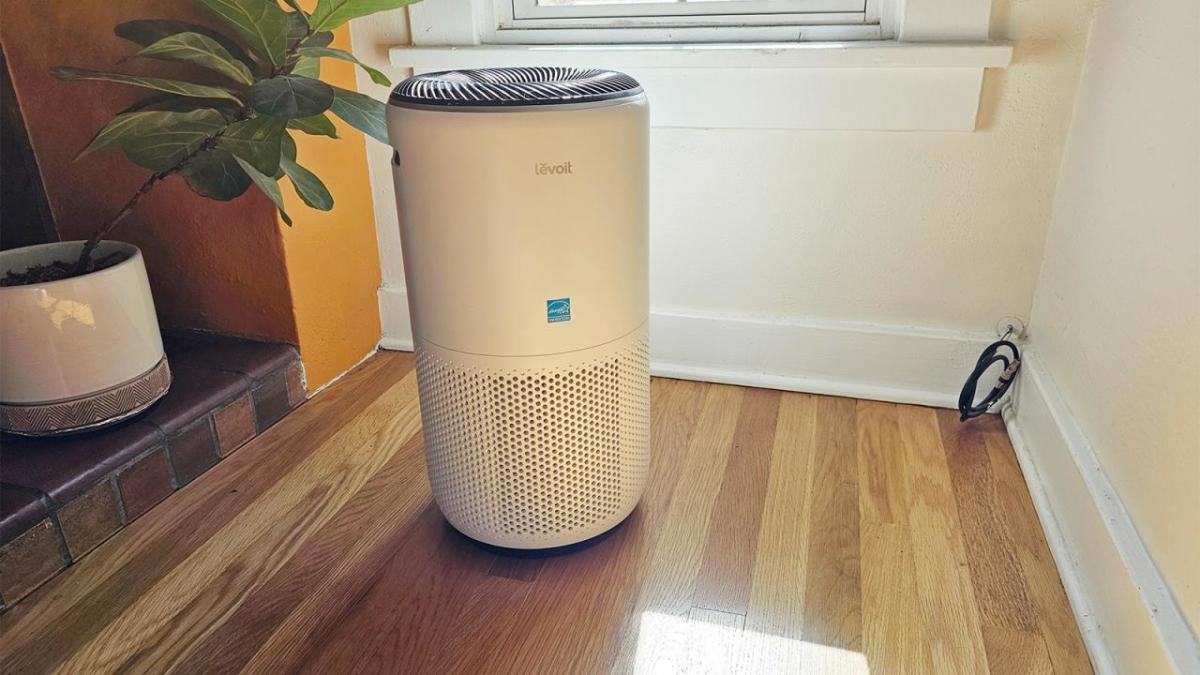 Our favourite air purifier is $30 off apt now in a minute time deal