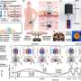 Long-distance and low-attenuation magnetic energy focusing technology for deep-tissue wireless powering