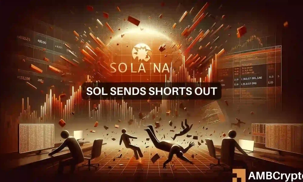 Solana ticket prediction – These are the price targets after +$9M liquidations