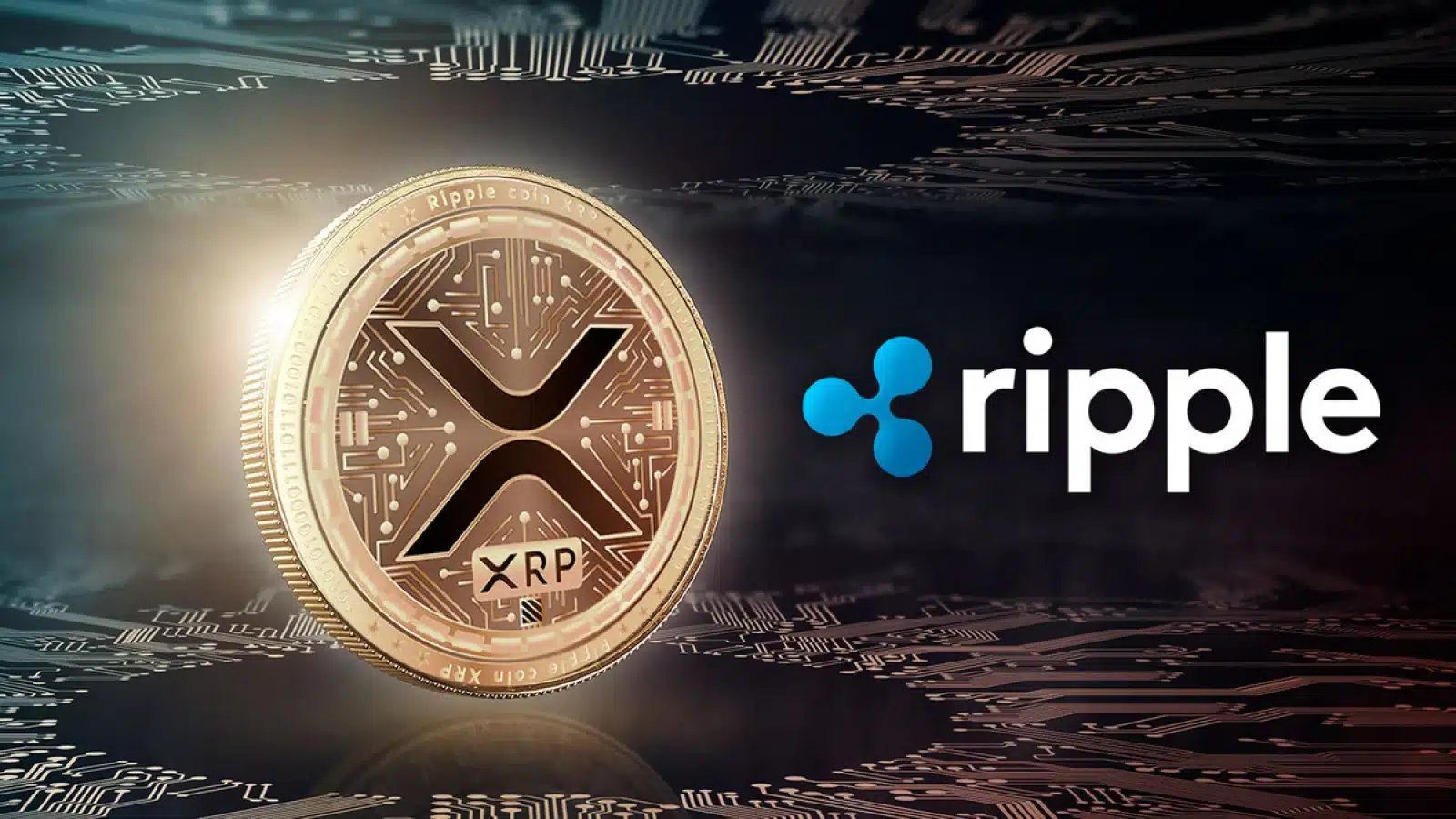 Ripple (XRP) Climbs Assist to $0.50 Level – Is a Bigger Rally Impending?