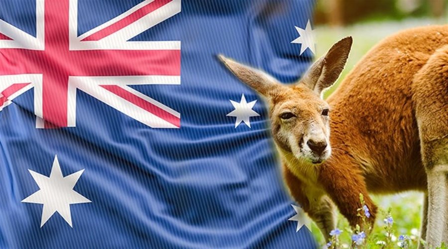 Webull Launches ’24-Hour Trading’ in Australia