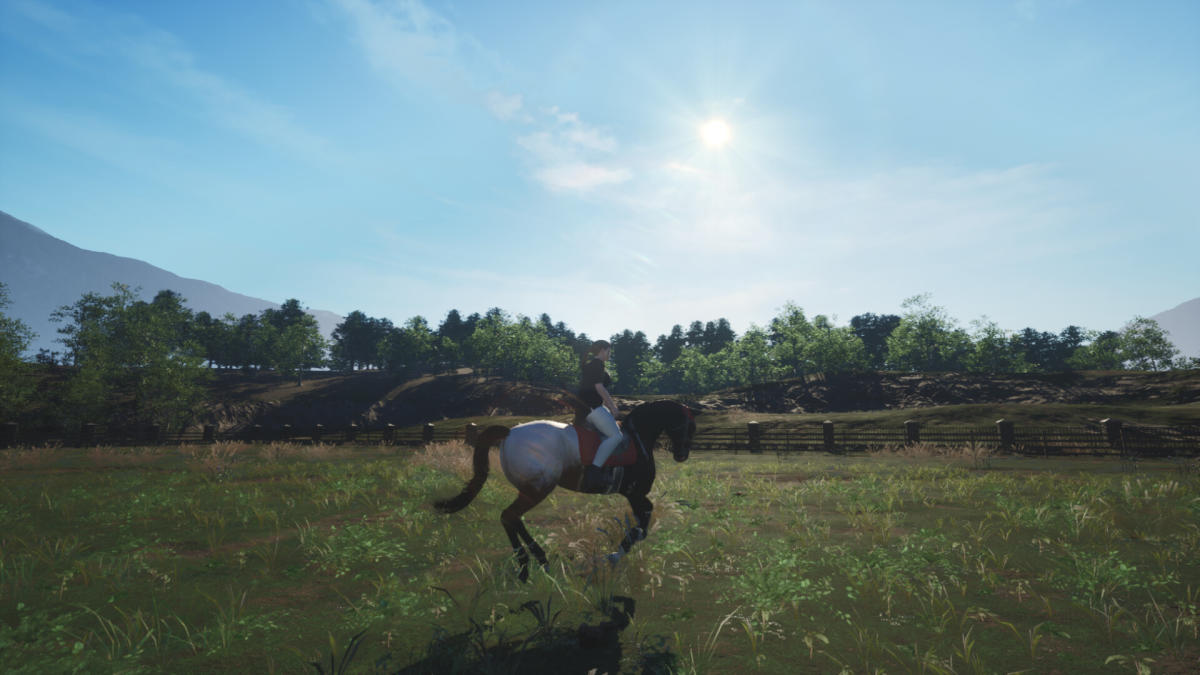 Indie builders attempt to make horse video games that don’t suck. It’s stressful