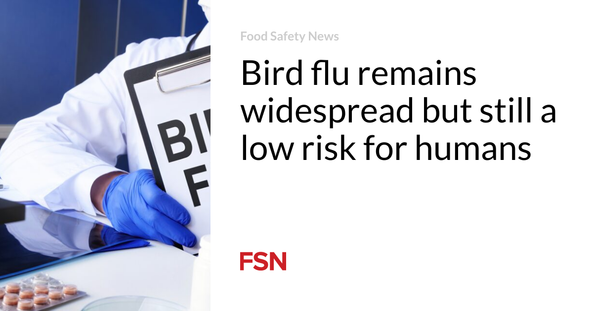 Chicken flu remains original but peaceable a low threat for people