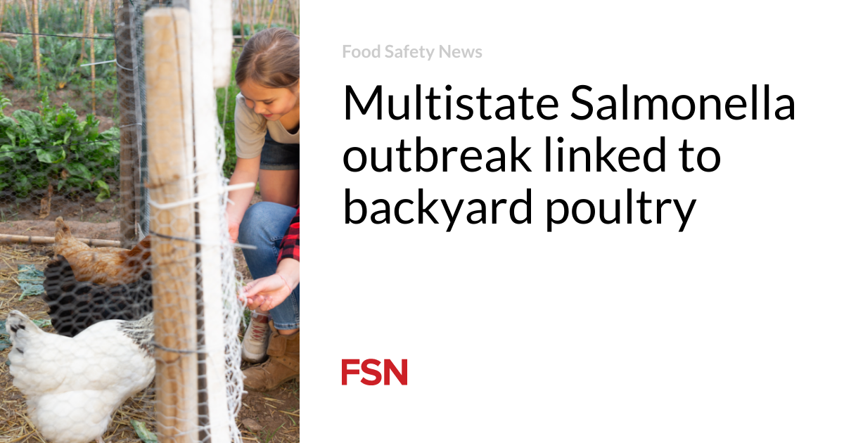 Multistate Salmonella outbreak linked to yard poultry