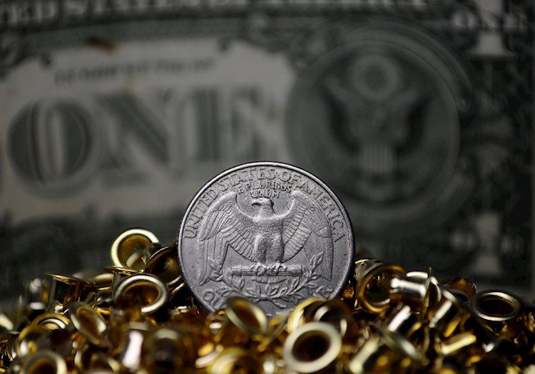 US Greenback recovers, DXY rises to 105.00 amid frightening market sentiment
