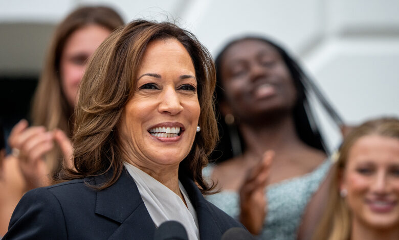 Zooms for Kamala Harris Design Six-Digit Attendance, Ruin Records and Elevate Hundreds of hundreds
