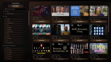 Baldur’s Gate III provides native sport mods on PC