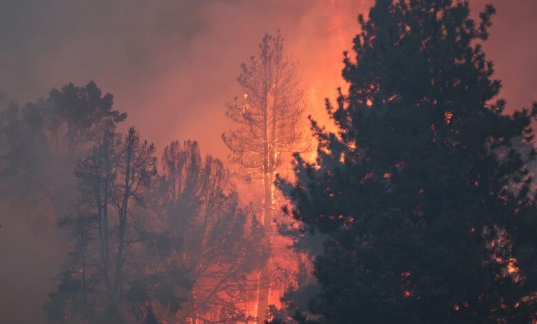 Retire out West? No, thanks. Wildfires abolish 10,000 seniors in arrive yearly.