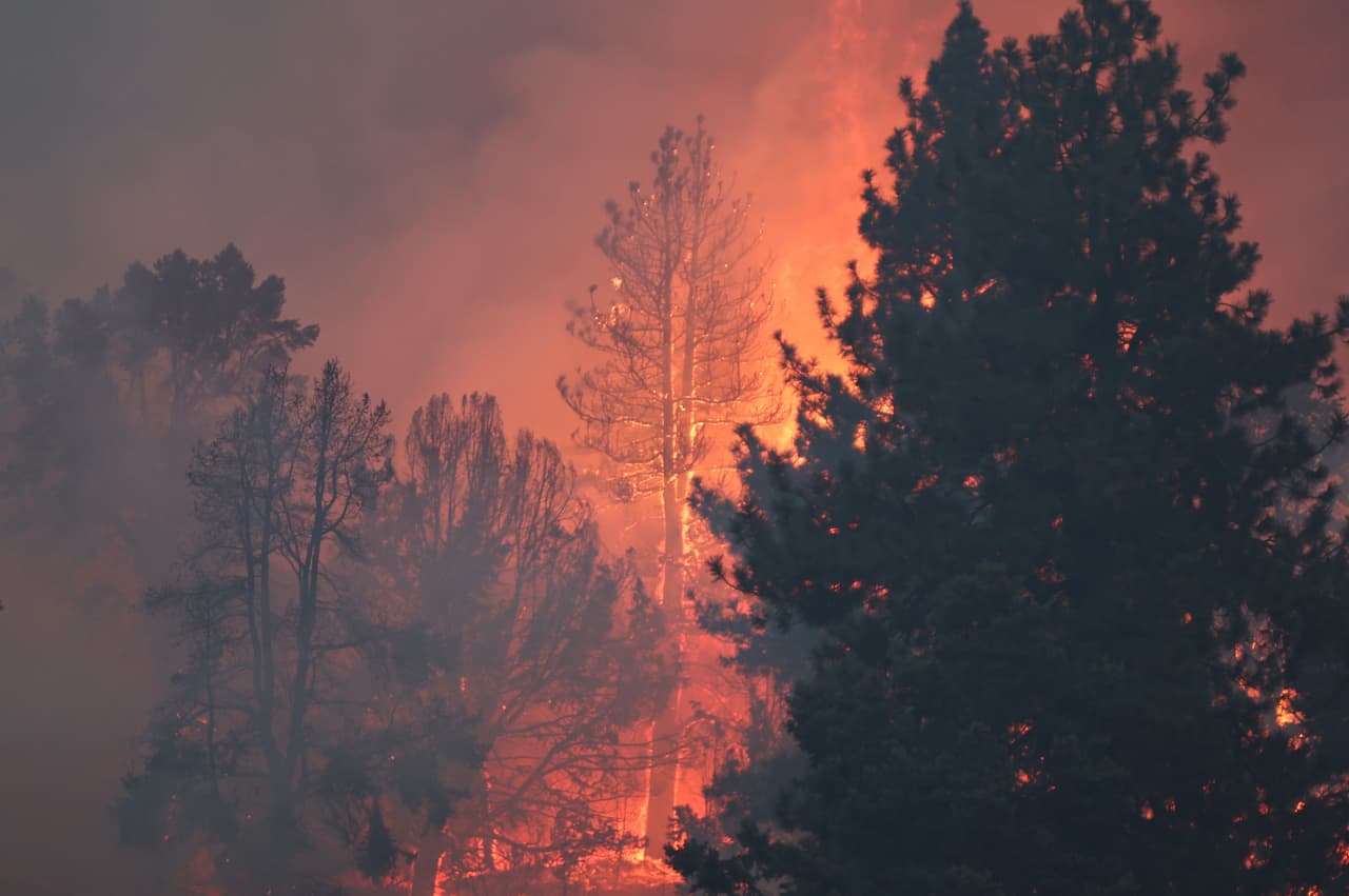 Retire out West? No, thanks. Wildfires abolish 10,000 seniors in arrive yearly.