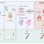 Immune signatures may per chance well presumably also predict antagonistic occasions from immunotherapy