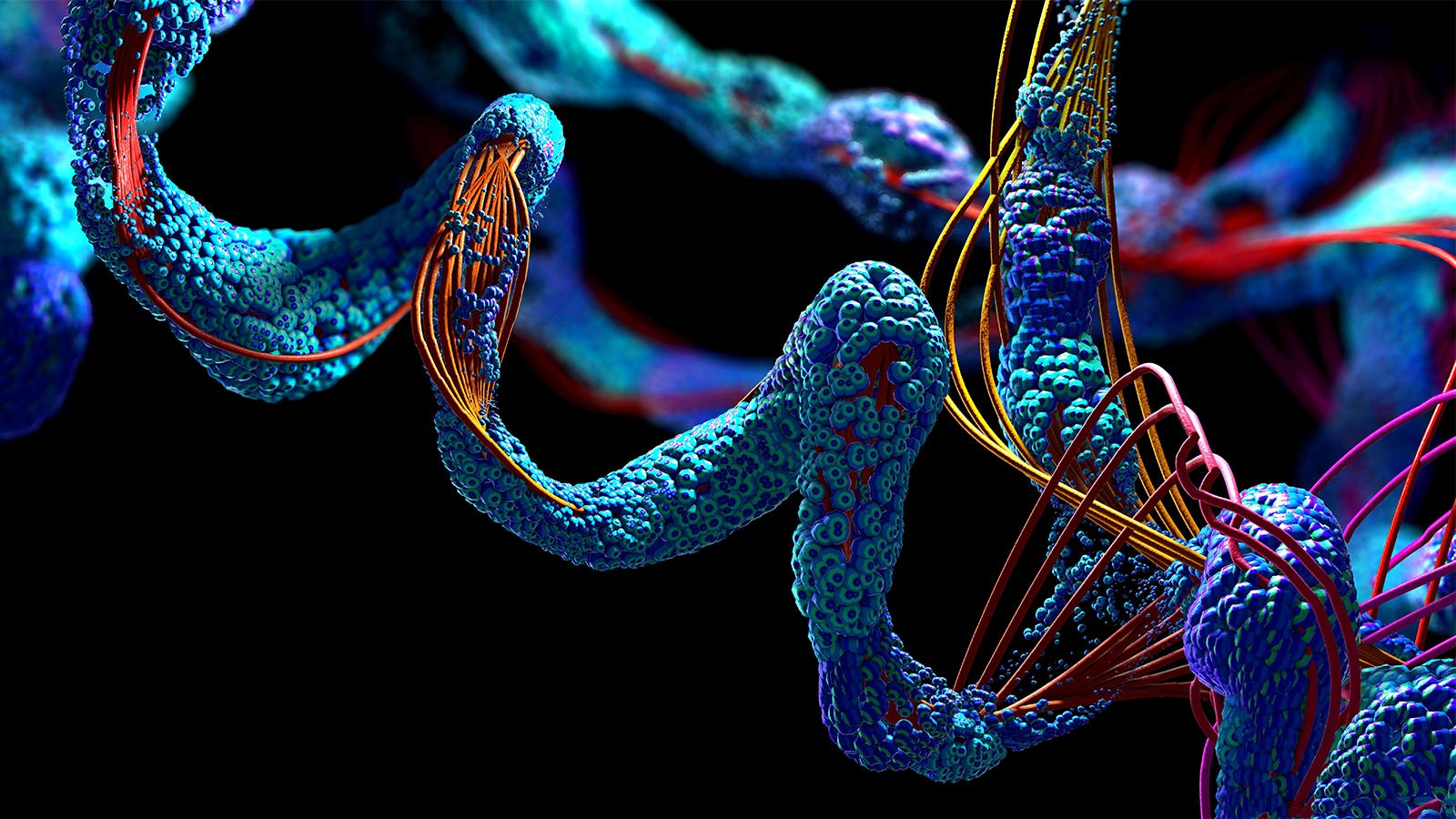 Protein Drivers of Coronary heart Attack Menace Disproportionately Have an effect on Females