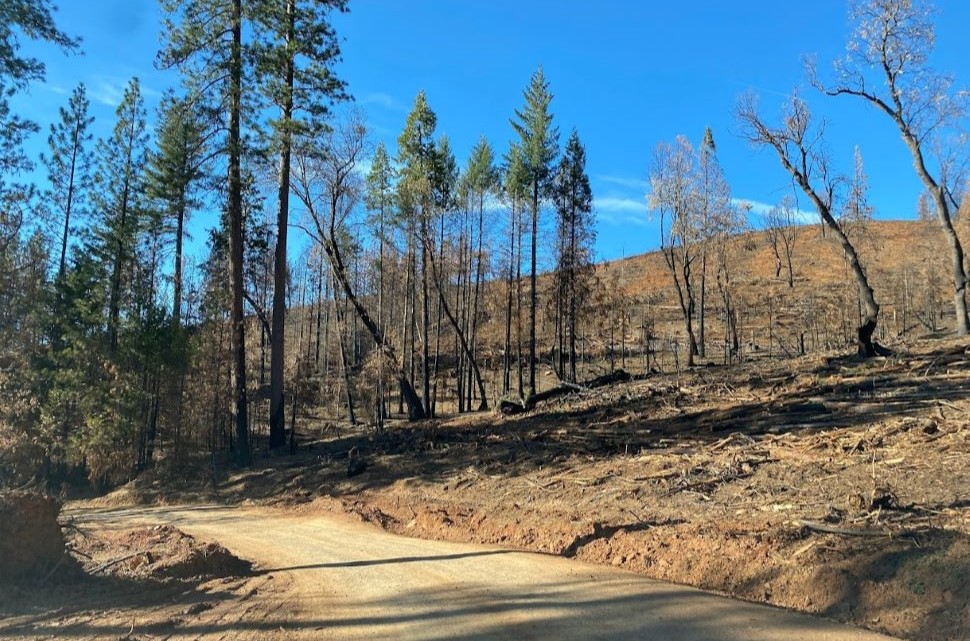 US Wooded subject Provider choice to forestall prescribed burns in ca is historic past repeating