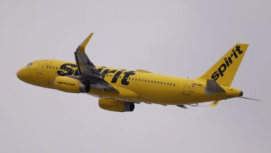 Wayment What!? Spirit Airlines Plane Hit By Gunfire While Making an are attempting To Land In Haiti