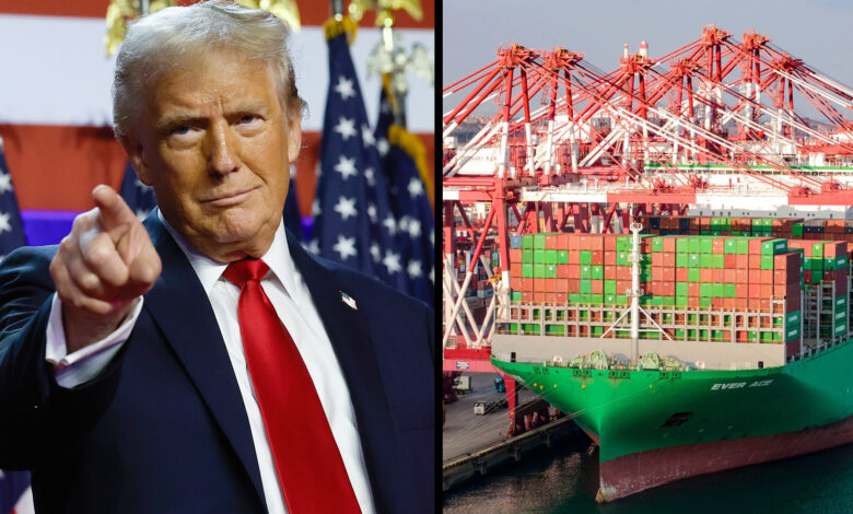 Trump Elected Forty seventh President — What His Tax Notion & Tariffs Mean For The Financial system | TSR Newz