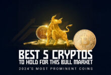 Most Promising Cryptos in December 2024 That Can also Bring High Earnings