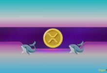 Ripple, Dogecoin Whales Sold the Dip as XRP, DOGE Costs Cruise