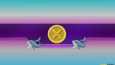 Ripple, Dogecoin Whales Sold the Dip as XRP, DOGE Costs Cruise