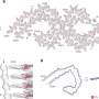 Gaze explores affiliation between Tau filaments and extracellular vesicles in Alzheimer’s disease