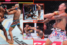 UFC drops 70 minutes of the ‘GREATEST KNOCKOUTS’ from 2024 and followers are loving it