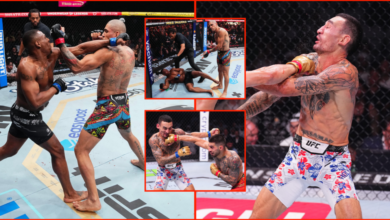 UFC drops 70 minutes of the ‘GREATEST KNOCKOUTS’ from 2024 and followers are loving it