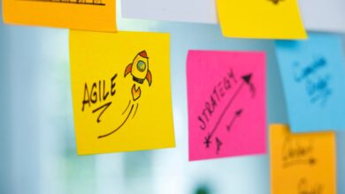 Agile Management: 5 Keys To Evolve Your Skill To Success